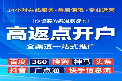 某电商平台sem竞价运营的突破与挑战